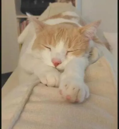 Chambre Chez L'Habitant 홈스테이 *