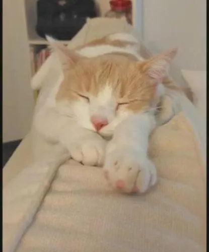 Chambre Chez L'Habitant 홈스테이 *